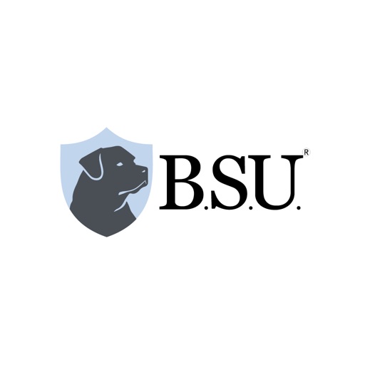 BSU Satelital icon