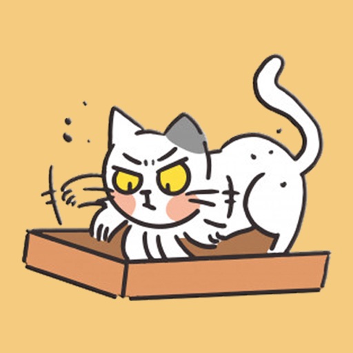 Cat Story Stickers icon