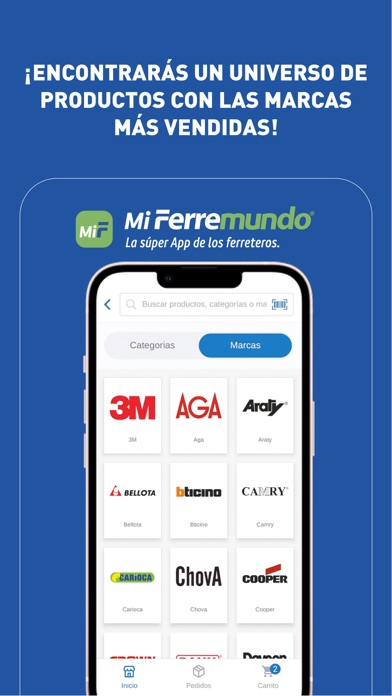 Mi Ferremundo Screenshot