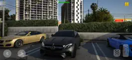 Game screenshot Real Car Driving: Racing games apk