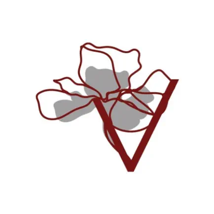 La Vanitè Читы