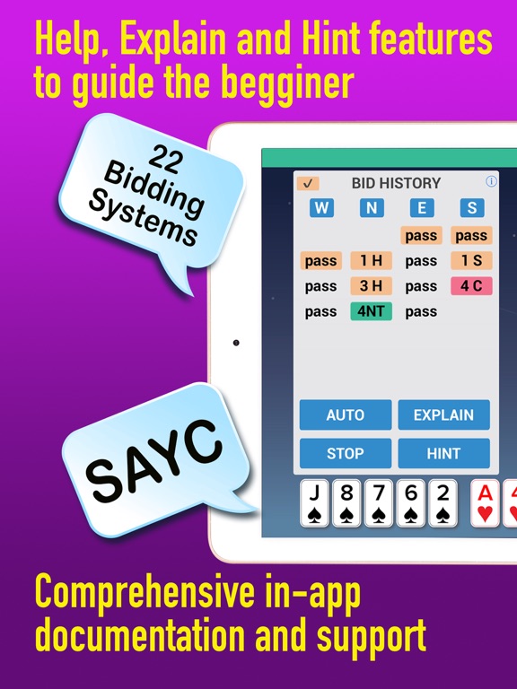 Screenshot #6 pour iBridgePlus