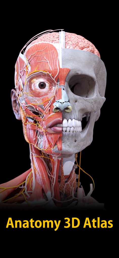 Anatomy 3D Atlas - La aplicación presenta modelos 3D de alta resolución con texturas de hasta 4K, mostrando una disección clara entre el sistema muscular y esquelético.