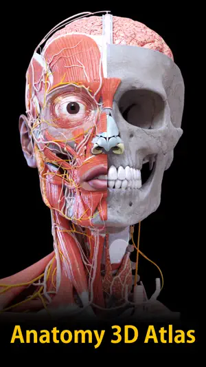 Anatomy 3D Atlas screenshot 1