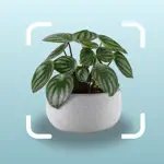 AI Plant Identification App App Positive Reviews