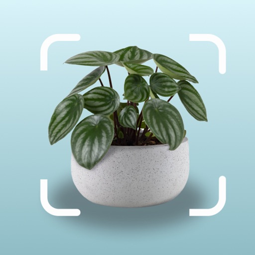 AI Plant Identification App