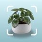 AI Plant Identification App app download