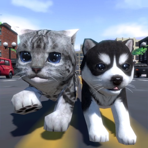 Cute Pocket Cat And Puppy 3D