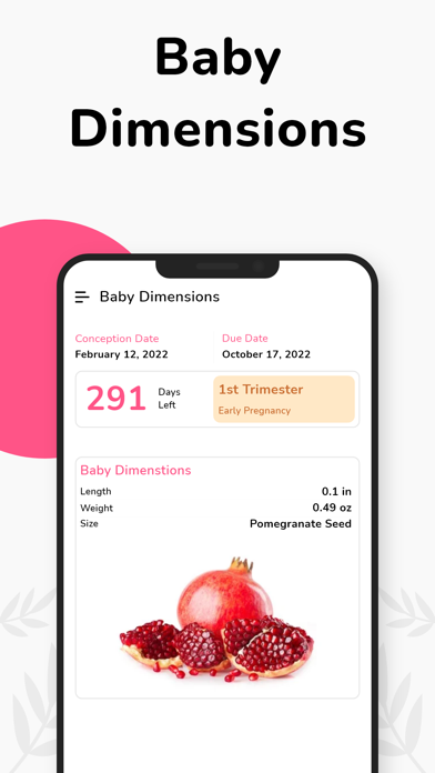 Pregnancy Tracker Week by Week Screenshot