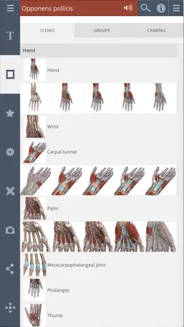 Game screenshot Primal's 3D Forearm & Hand apk