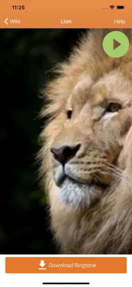 Game screenshot Animal Ringtones & Sounds hack