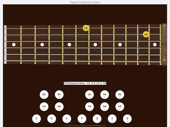 Bass Sight Reading Trainer iPad app afbeelding 4