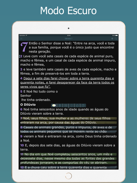 Screenshot #6 pour Áudio Bíblia NVI em Português