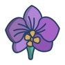 Get Orchid Stickers for iOS, iPhone, iPad Aso Report