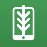 FlorestaDB