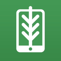 FlorestaDB