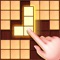Icon Block Puzzle - Wood Brain Game