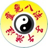 Chrono-Acupuncture Lite icon