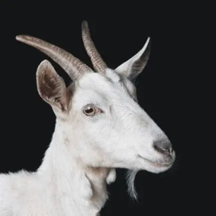 Qurbani App Читы
