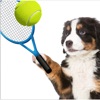 Dog Tennis Champs Ping Pong icon