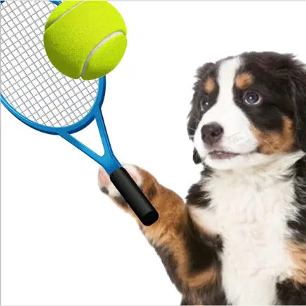 Dog Tennis Champs Ping Pong Cheats