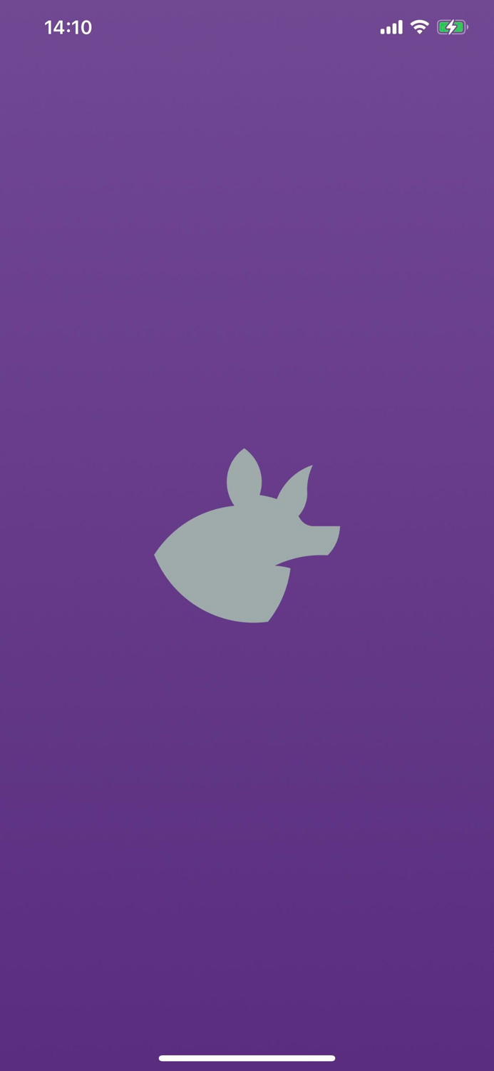 Banded Armadillo Rock Club