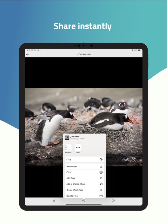 Screenshot #6 pour FileFlow