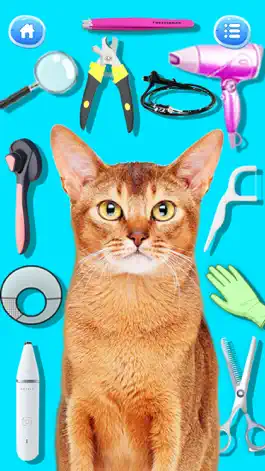 Game screenshot Cat Games: Pet Vet Doctor Care apk