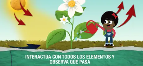 ¿Cómo funciona?