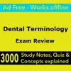 Dental Terminology Exam Review negative reviews, comments