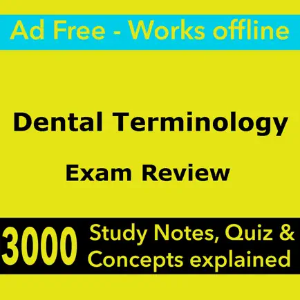 Dental Terminology Exam Review Cheats