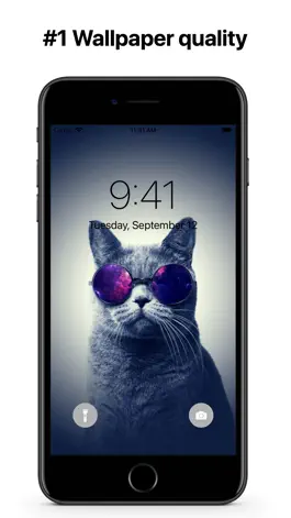 Game screenshot Cats Wallpapers 4K HQ Notch mod apk