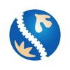 CandleCalc MAX icon