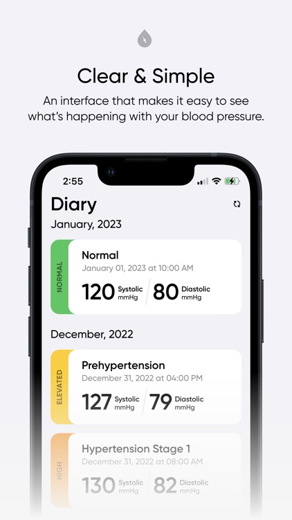 Simple Blood Pressure Tracker screenshot-3