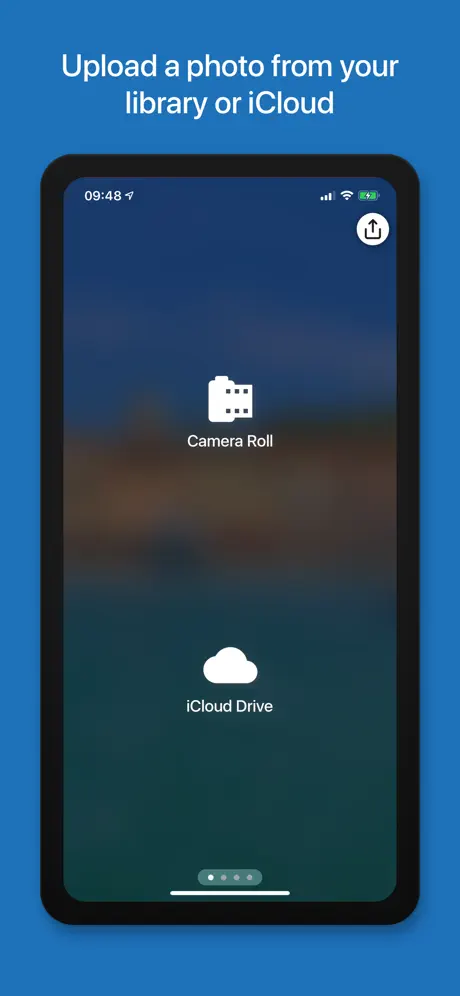 Metadata