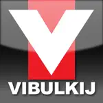 Vibulkij App Problems