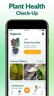 plantum - ai plant identifier problems & solutions and troubleshooting guide - 2