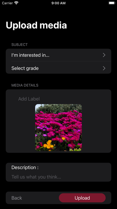 ODAEP-YRBK Screenshot