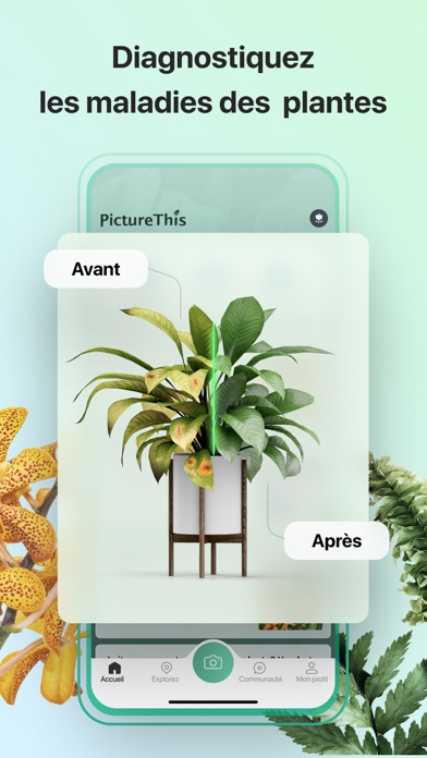 PictureThis-Identifier Plantes PictureThis-Identifier Plantes
