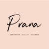 Prana Healing and Wellness icon