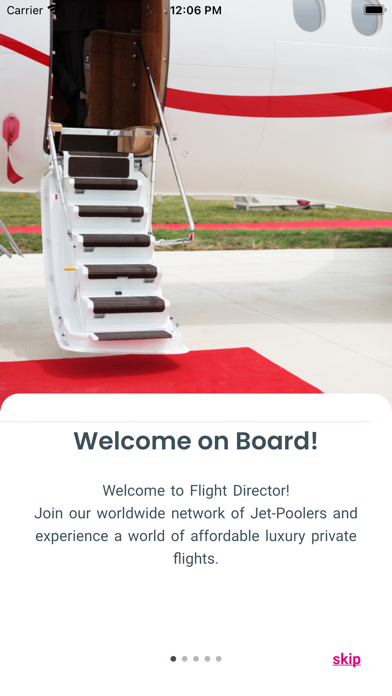 Flight Director Screenshot
