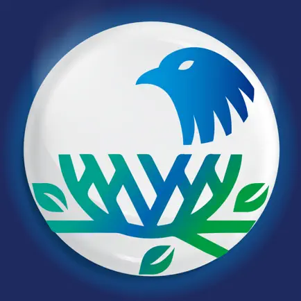 Wordsnest Читы