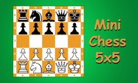 Mini Chess on TV
