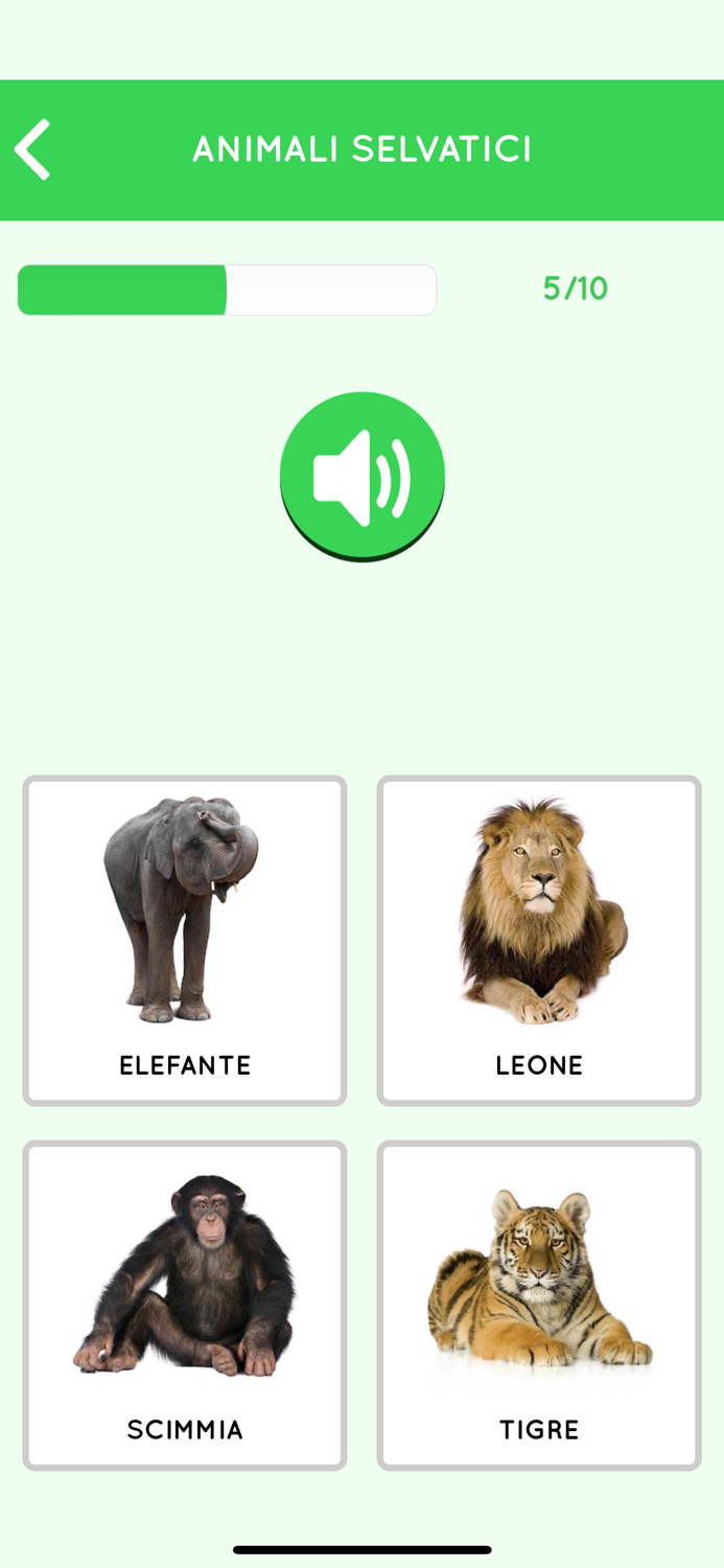 Learn Italian beginners