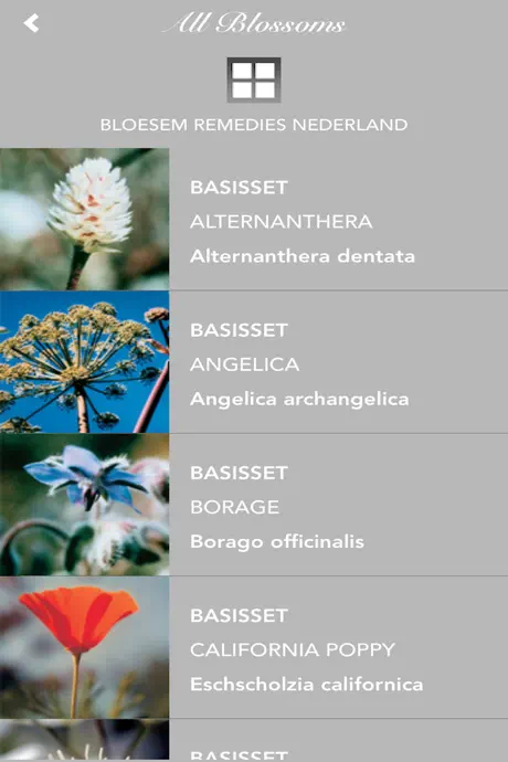 FlowerEssences