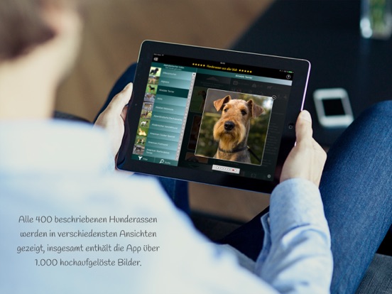 Screenshot #6 pour Hunderassen aus aller Welt