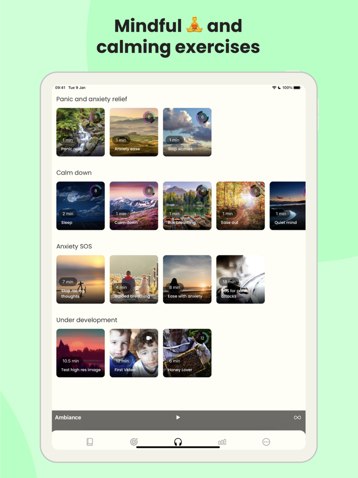 Mood Tracker - Earkick Panda