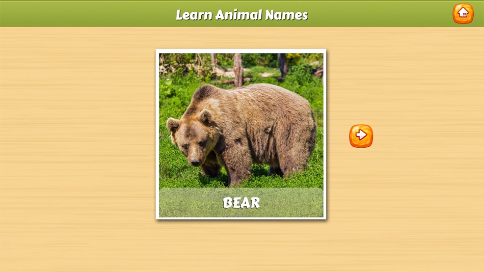 Animal Names Cards - 3.4.6 - (iOS)