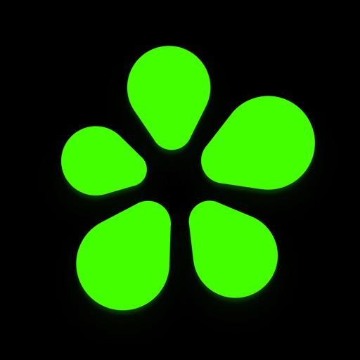 ICQ: Messenger & Video Calling icon