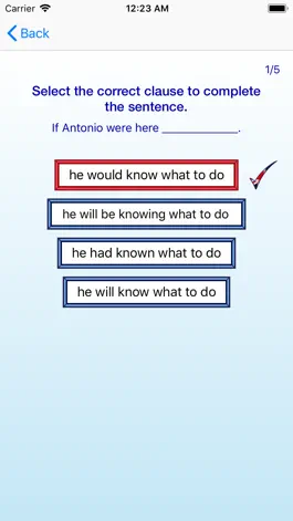 Game screenshot English Grammar hack